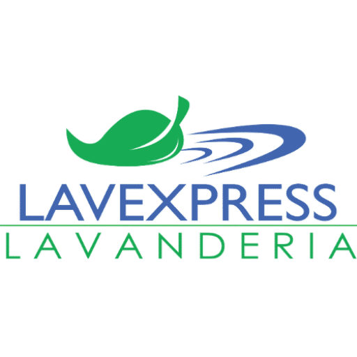 Lavexpress Logo